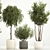 Elegant Potted Tree Set, 1221 3D model small image 3