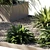 Lush Outdoor Plant Collection 15 3D model small image 6