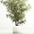 Modern Olive Tree in Concrete Planter 3D model small image 2