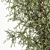 Modern Olive Tree in Concrete Planter 3D model small image 4