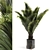 Gorgeous Sago Palm Plant 3D model small image 1