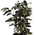 Modern Indoor Ficus Plant Set 3D model small image 3