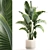 Tropical Foliage Set with Modern Vase 3D model small image 1