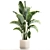 Tropical Foliage Set with Modern Vase 3D model small image 4