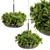 Fern Ampelous Hanging Plant Collection 3D model small image 1