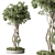  Evergreen Tree in Pot 3D model small image 1