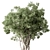  Evergreen Tree in Pot 3D model small image 2