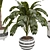 3D Indoor Banana Plant Model 3D model small image 2