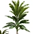 3D Indoor Banana Plant Model 3D model small image 3