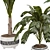 3D Indoor Banana Plant Model 3D model small image 4