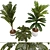 3D Indoor Banana Plant Model 3D model small image 6