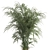 Modern Exotic Palm Plant Décor 3D model small image 4