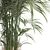 Modern Exotic Palm Plant Décor 3D model small image 5