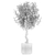 Modern Concrete Ficus Plant Décor 3D model small image 7