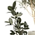 Modern Concrete Plant Collection: Olive and Ficus 3D model small image 3