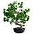 Artisan Bonsai Tree Set 3D model small image 1