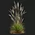 Ornamental Grass Calamagrostis Karl Foerster 3D model small image 2