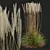 Golden Feather Calamagrostis Plant Model 3D model small image 2