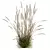 Golden-Hued Ornamental Grass 3D Models 3D model small image 4