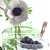 Blueberry Pudding & White Anemones 3D model small image 3