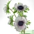 Blueberry Pudding & White Anemones 3D model small image 6