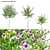 Complete 3D Plant Models Collection 3D model small image 1