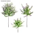 Complete 3D Plant Models Collection 3D model small image 6