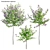 Complete 3D Plant Models Collection 3D model small image 11