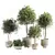 Botanical Collection Set Vray 3DMax 3D model small image 1