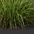 Golden Sedge Grass 3D Model 3D model small image 2