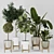 Modern Indoor Plant Collection Vol. 06 3D model small image 1