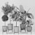 Modern Indoor Plant Collection Vol. 06 3D model small image 3