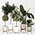 Modern Indoor Plant Collection Vol. 06 3D model small image 6