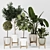 Modern Indoor Plant Collection Vol. 06 3D model small image 10