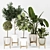 Modern Indoor Plant Collection Vol. 06 3D model small image 12