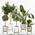 Modern Indoor Plant Collection Vol. 06 3D model small image 14