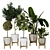 Modern Indoor Plant Collection Vol. 06 3D model small image 16