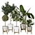 Modern Indoor Plant Collection Vol. 06 3D model small image 17