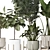 Modern Indoor Plant Collection Vol. 06 3D model small image 22