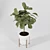 Modern Indoor Plant Collection Vol. 06 3D model small image 23