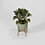 Modern Indoor Plant Collection Vol. 06 3D model small image 25