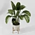 Modern Indoor Plant Collection Vol. 06 3D model small image 26