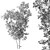 Sapling Sourwood Set 164 3D model small image 3