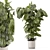 Modern Indoor Plants Set 3D 3D model small image 1