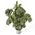 Modern Indoor Plants Set 3D 3D model small image 2