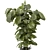 Modern Indoor Plants Set 3D 3D model small image 3