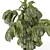 Modern Indoor Plants Set 3D 3D model small image 4