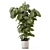 Modern Indoor Plants Set 3D 3D model small image 5