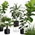 Exotic Indoor Plants Variety Pack 3D model small image 2