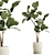 Stylish Ficus Lyrata Indoor Tree 3D model small image 1